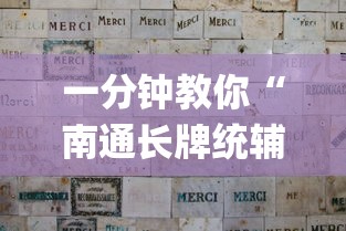 一分钟教你“南通长牌统辅助工具”(详细辅助脚本)