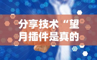分享技术“望月插件是真的吗”可以透视