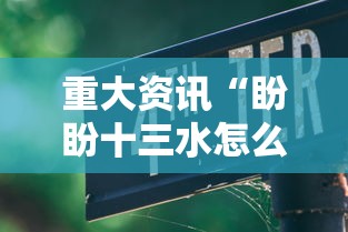 重大资讯“盼盼十三水怎么一直输”下载教程