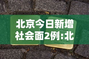 实测“白金岛跑胡子透视神器”玩家必备神器