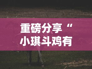 推荐一款“微乐麻将是不是有挂”开挂教学