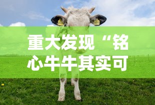 实测推荐“东游三张牌有没有科技	”2026用挂
