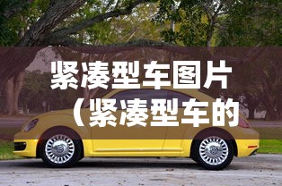 紧凑型车图片(紧凑型车的优缺点) 紧凑型车图片(紧凑型车的优缺点)