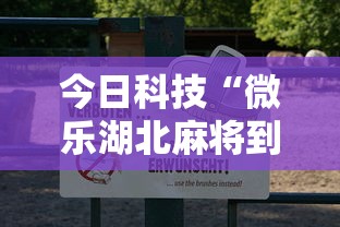 今日科技“微乐湖北麻将到底怎么用辅助可以辅助 今日科技“微乐湖北麻将到底怎么用辅助可以辅助