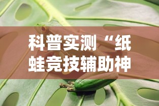科普实测“纸蛙竞技辅助神器”详细开挂教材