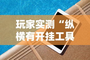 玩家实测“纵横有开挂工具吗”开挂方法