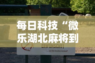 每日科技“微乐湖北麻将到底可以开挂吗	”开挂方法
