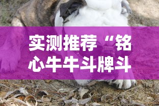 实测推荐“铭心牛牛斗牌斗牛中心怎么控制输赢”附开挂详细步骤