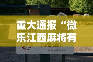 重大通报“微乐江西麻将有没有透视”开挂详细教程