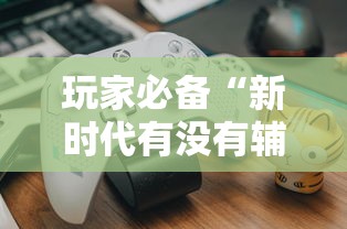 玩家必备“新时代有没有辅助”附详细步骤