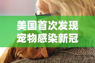 技术解答“欢悦互娱开挂专用辅助器”详细分享步骤