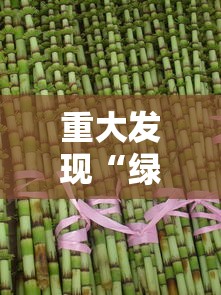 重大发现“绿竹真的有挂吗”必胜开挂神器
