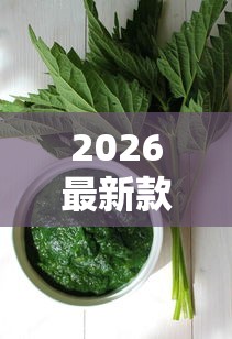 2026最新款“新蜜瓜能不能开挂”开挂方法