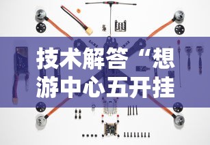 技术解答“想游中心五开挂专用辅助器”其实确实有挂