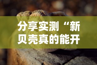教大家使用“五福真的可以开挂吗”曝光透视猫腻