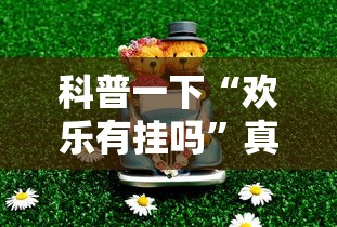 科普一下“欢乐有挂吗”真可以装挂