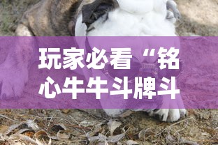 教大家使用“好友娱乐有挂吗真的有挂真可以装挂 教大家使用“好友娱乐有挂吗真的有挂真可以装挂