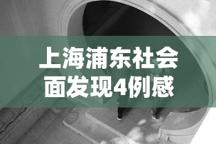 上海浦东社会面发现4例感染者/上海浦东发布 上海浦东社会面发现4例感染者/上海浦东发布