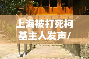 玩家实测“白金岛邵阳字牌辅助器”详细开挂教程