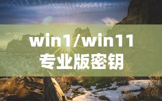 win1/win11专业版密钥