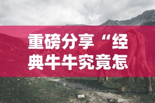 重磅分享“经典牛牛究竟怎么开挂”原来可以开挂