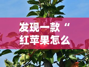 发现一款“红苹果怎么能好牌”可以辅助