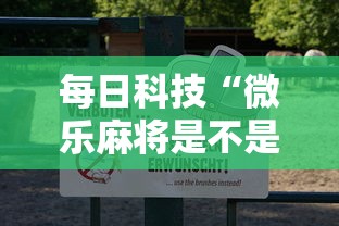 每日科技“微乐麻将是不是能开挂”其实是有挂