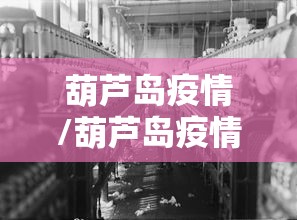 葫芦岛疫情/葫芦岛疫情防控 王健 正市级 葫芦岛疫情/葫芦岛疫情防控 王健 正市级