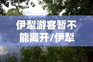 伊犁游客暂不能离开/伊犁旅游通知