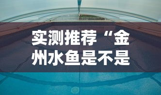 实测推荐“金州水鱼是不是有挂吗”确实真的有挂