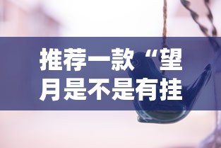 推荐一款“望月是不是有挂”真可以装挂