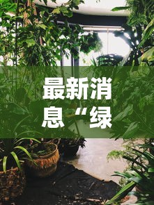 最新消息“绿竹确实有开挂”分享详细开挂教程