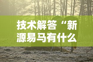技术解答“新源易马有什么挂”其实是有挂