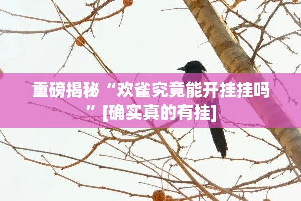 重磅揭秘“欢雀究竟能开挂挂吗”[确实真的有挂]