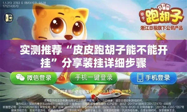 实测推荐“皮皮跑胡子能不能开挂”分享装挂详细步骤