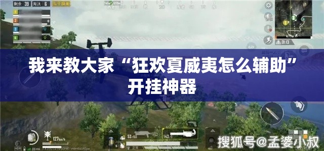 我来教大家“狂欢夏威夷怎么辅助”开挂神器