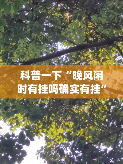 科普一下“晚风闲时有挂吗确实有挂	”(确实有挂)