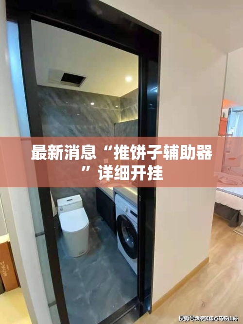 最新消息“推饼子辅助器	”详细开挂