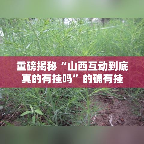 重磅揭秘“山西互动到底真的有挂吗”的确有挂