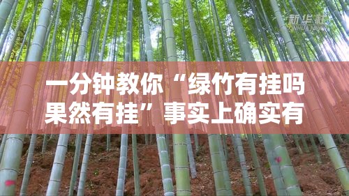 一分钟教你“绿竹有挂吗果然有挂”事实上确实有挂