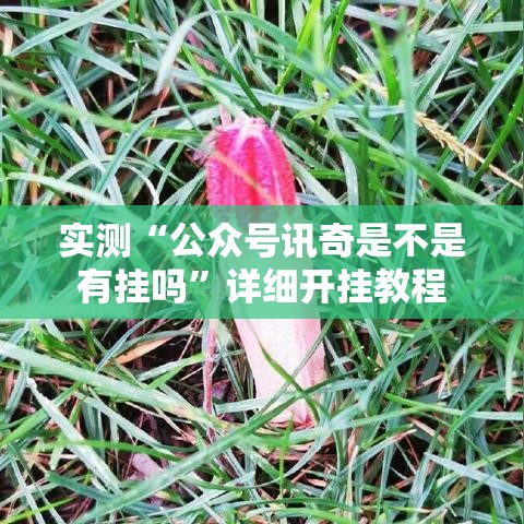 实测“公众号讯奇是不是有挂吗	”详细开挂教程