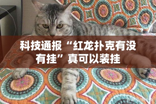 科技通报“红龙扑克有没有挂”真可以装挂