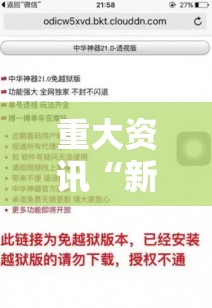 重大资讯“新讯奇透视专用神器	”详细开挂教程