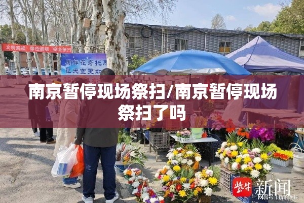 南京暂停现场祭扫/南京暂停现场祭扫了吗 南京暂停现场祭扫/南京暂停现场祭扫了吗