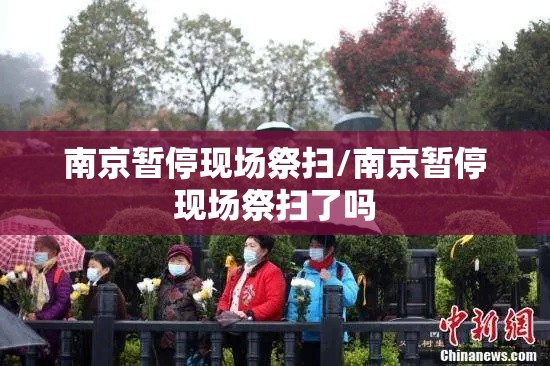 南京暂停现场祭扫/南京暂停现场祭扫了吗 南京暂停现场祭扫/南京暂停现场祭扫了吗
