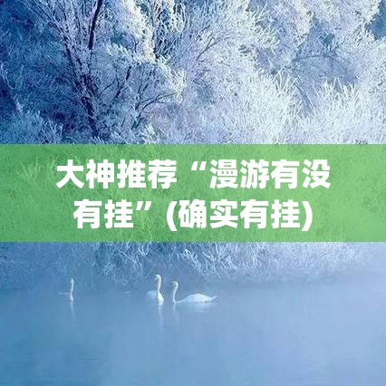 大神推荐“漫游有没有挂”(确实有挂)