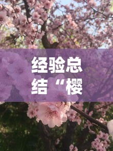 经验总结“樱花梦雨一直输怎么办”其实确实有挂