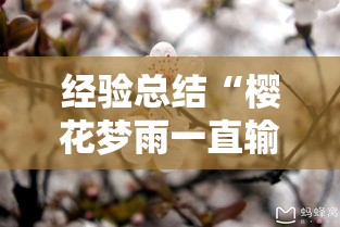 经验总结“樱花梦雨一直输怎么办”其实确实有挂