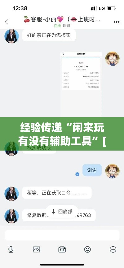 经验传递“闲来玩有没有辅助工具”[确实真的有挂]