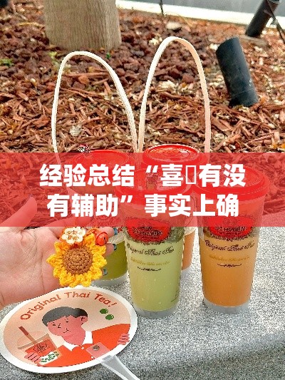 经验总结“喜園有没有辅助”事实上确实有挂